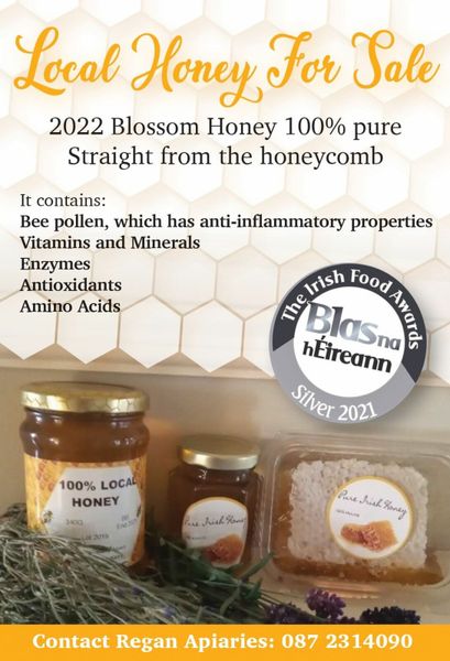 Local Honey for Sale