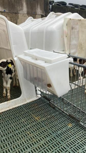 Calves Meal feeder rain proof and birdproof