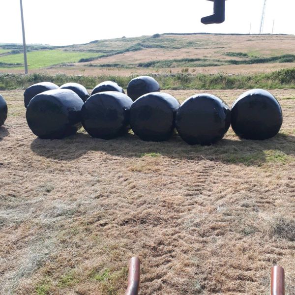Silage and haylage bales for sale.