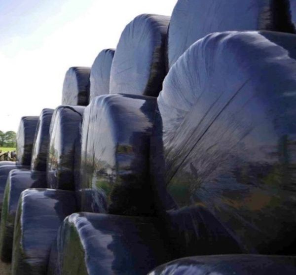 Bales of silage and round bales off hay 25 euro