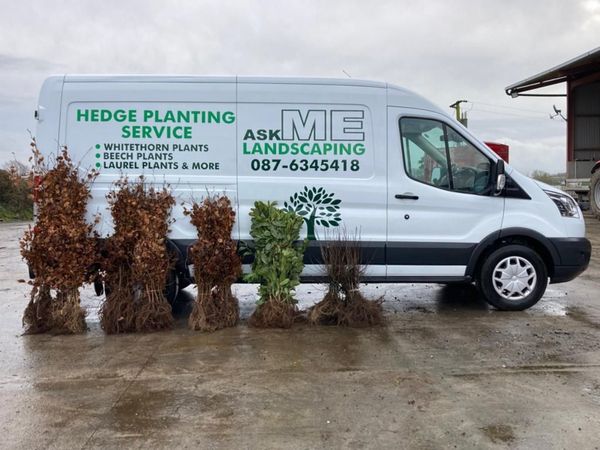 Top Quality Trees and Hedging