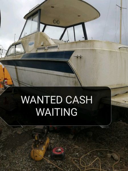 Boat motor cruiser Wanted