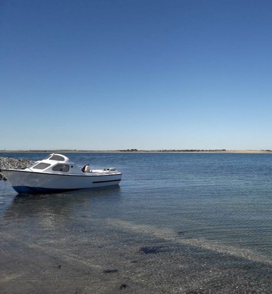 sheelin lake boat trailer engine 436 All Sections Ads For Sale in