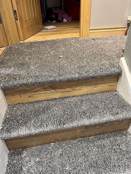 Carpet and Wood half and half