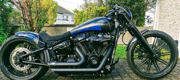 Harley Davidson  breakout