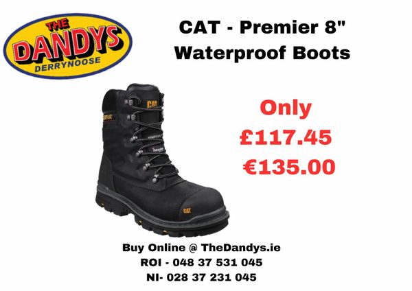 Caterpillar hot sale premier boots