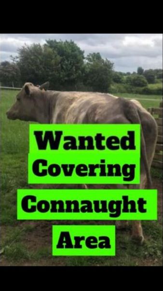 WANTED Covering Connaught area