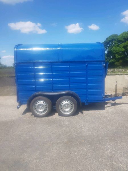 8 by 4ft 3 cattle,sheep trailer