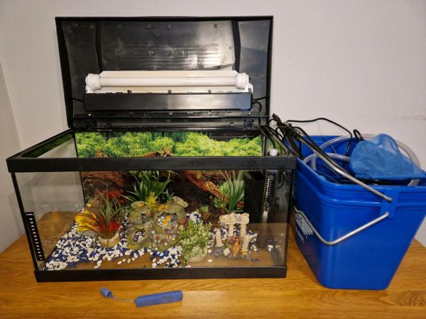 scrubber-1-fish-ad-for-sale-in-ireland-donedeal