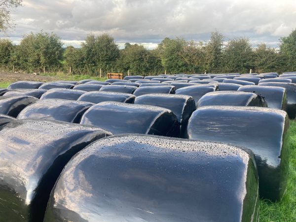Bale silage for sale Westmeath