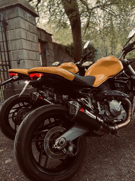 Ducati 2024 monster bhp