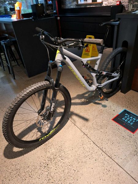 Men's stumpjumper best sale comp alloy 29