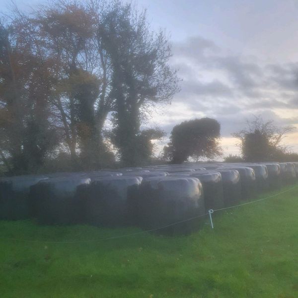 organic 8 Hay & Forage Ads For Sale in Ireland DoneDeal