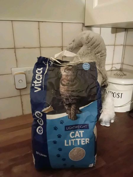 Vitacat cat clearance litter