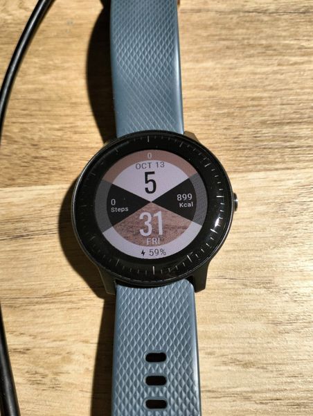 Garmin vivoactive 3 hot sale music sports