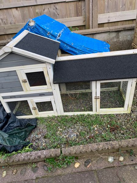 Foxglove rabbit outlet hutch