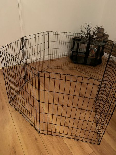 Dog fence hotsell for sale