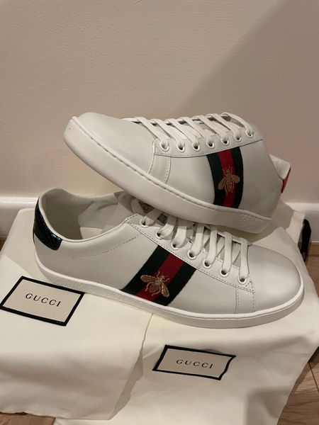 Gucci New Ace Web Trainers for sale in Co. Dublin for 495 on
