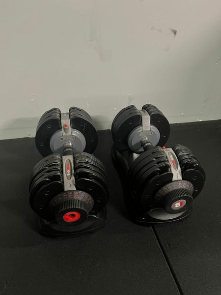 Bodymax dumbbells best sale