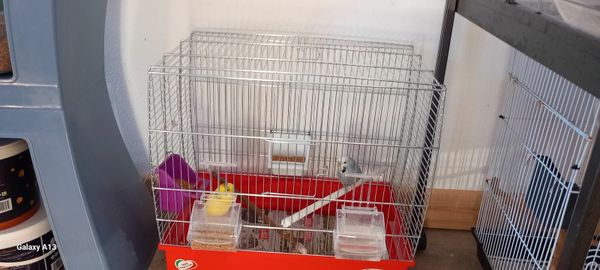 Kerry hamster hot sale cage