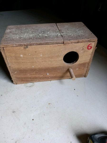 Budgie nest boxes for cheap sale