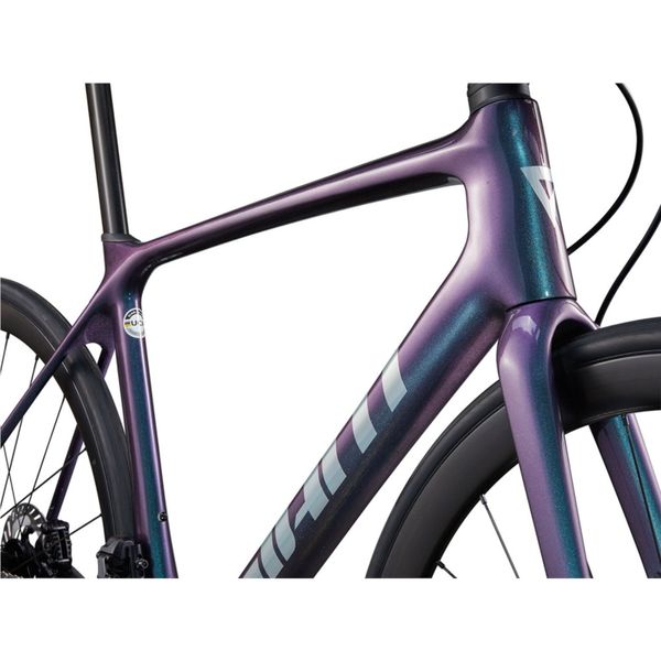 Giant tcr frame online for sale