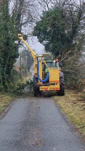 Circular saw hedge cutter for deals sale