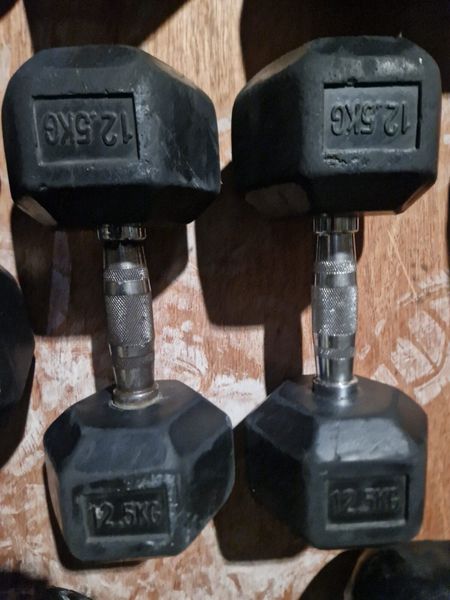 12.5 kg discount dumbbells for sale