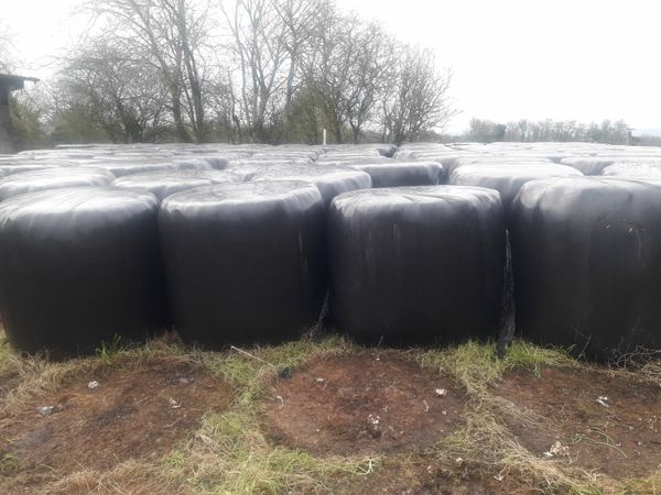 tubbercurry 121 All Sections Ads For Sale in Ireland DoneDeal