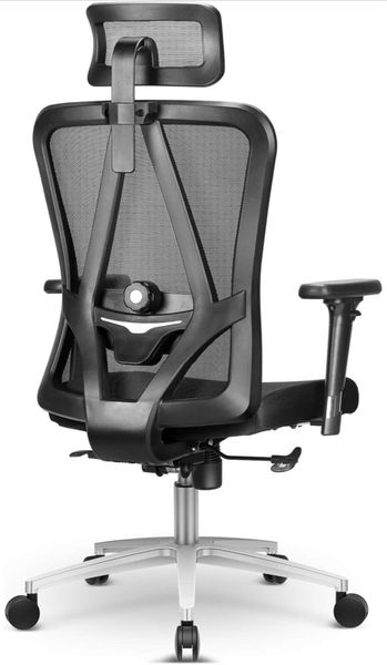 Duramont ergonomic adjustable office deals chair with lumbar support