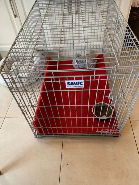 Old dog outlet cage for sale