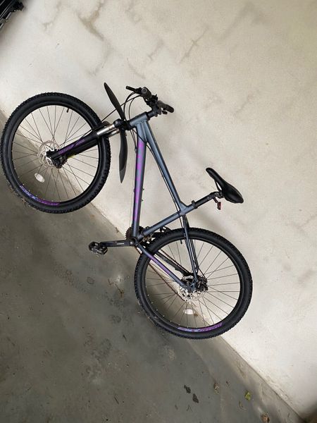 Purple discount carrera bike