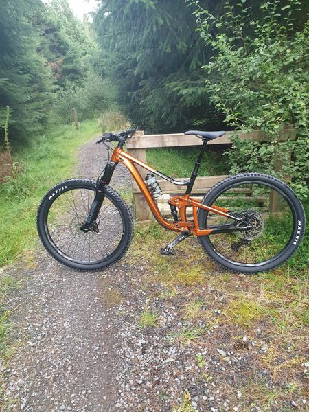 Giant trance 2024 29er for sale