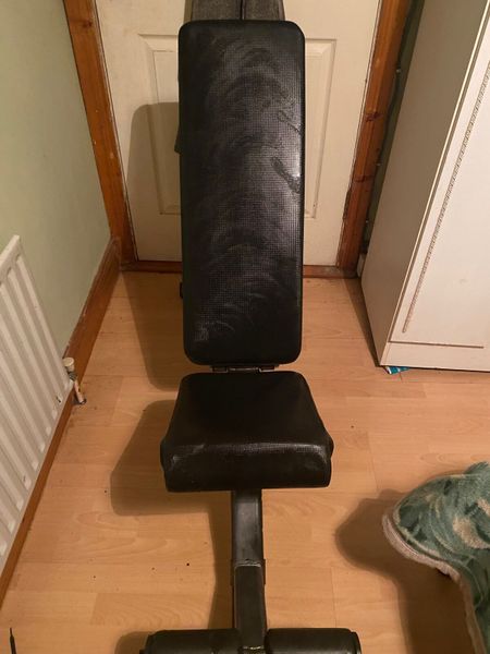 Gym Bench EZ Curl Bar Pull Up Bar for sale in Co. Cork for 114