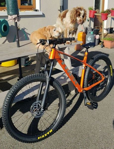 Roscoe 7 online 29er