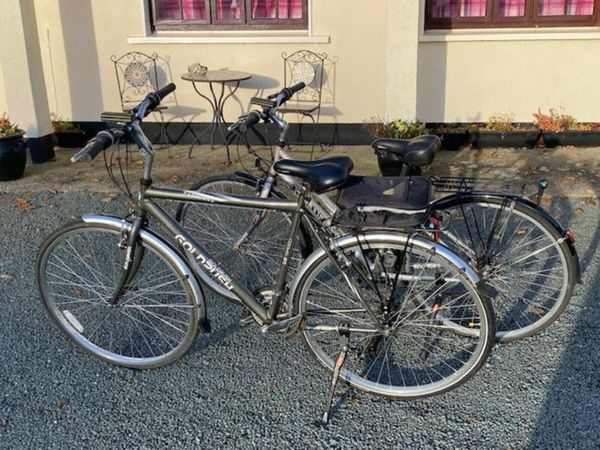 2 Parkland Goldrush bicycles