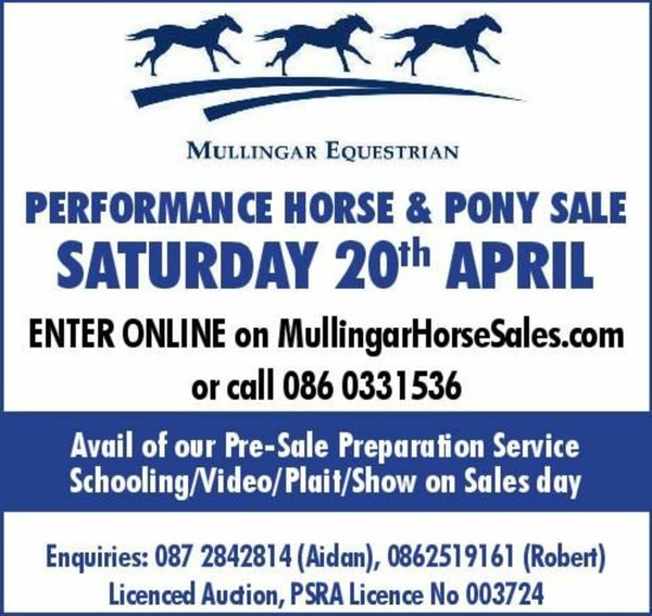 houses for sale in millstreet 115 Horses Ads For Sale in Ireland