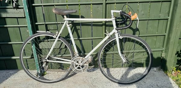 Carlton discount carrera bike