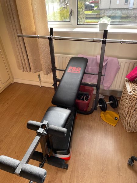 Weights bench for sale in Co. Westmeath for 50 on DoneDeal