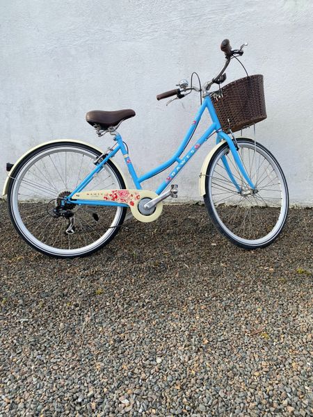 My sales blue bike