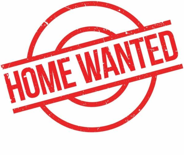 property for rent 75 All Sections Ads For Sale in Ireland DoneDeal