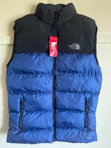 The north best sale face 700 vest