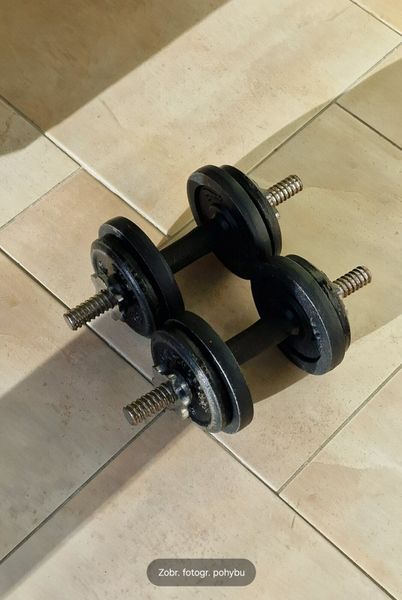 2x10kg dumbbells best sale