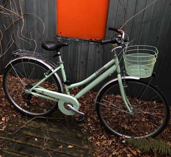 Mint green bike with hot sale basket