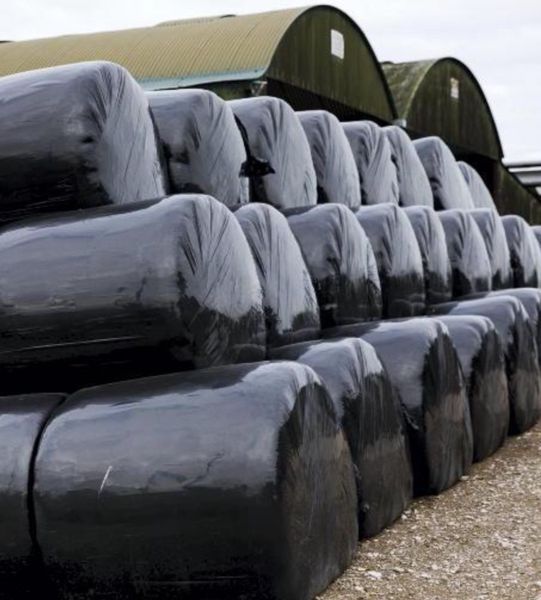 Bedding & Feed Ads For Sale in Limerick DoneDeal