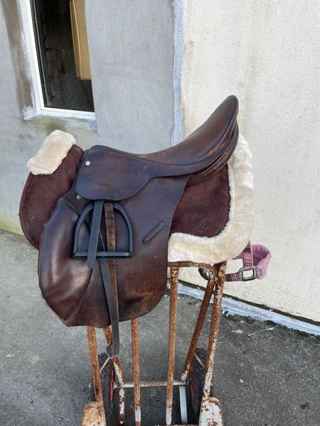 Horse equipment for deals sale