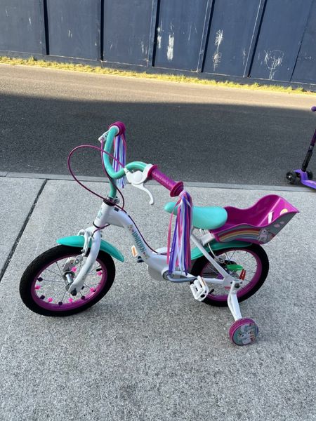 12 inch bike with best sale doll carrier