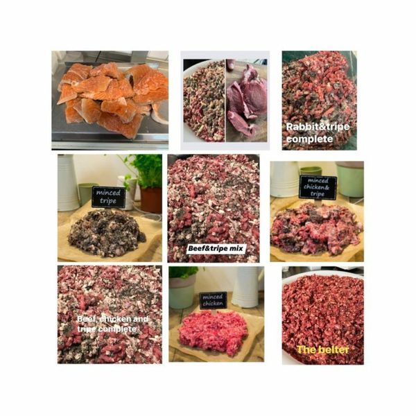 Mixed dog food outlet for sale