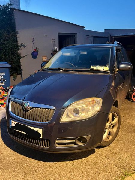 Skoda fabia best sale 1.4 tdi 2009