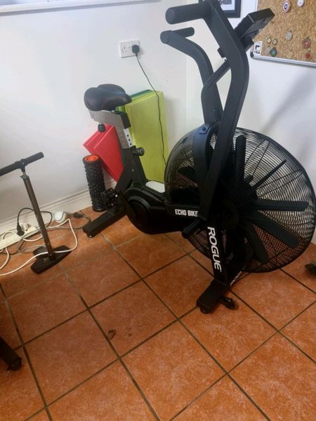 Rogue fitness bike online for sale